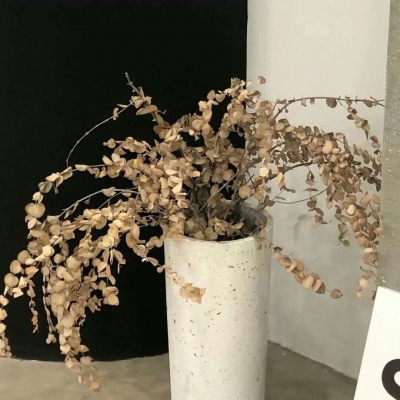 滦县福瑞交流群